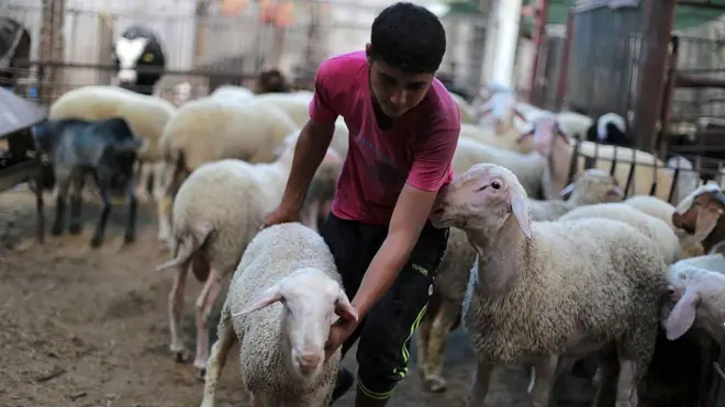 బక్రీద్