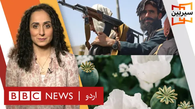 افغانستان میں منشیات