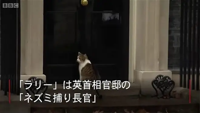 英首相官邸の玄関前に座る猫のラリー
