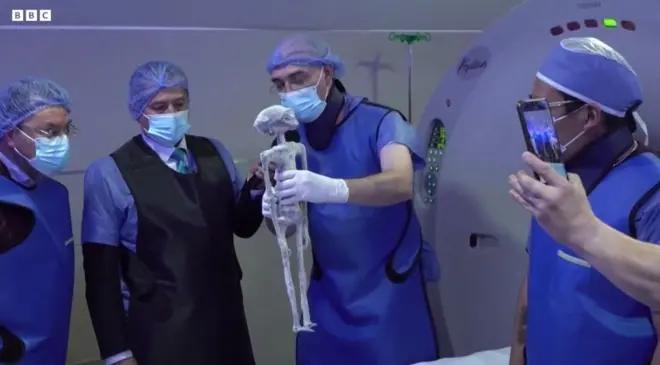 మెక్సికో ఫోరెన్సిక్ నిపుణులు