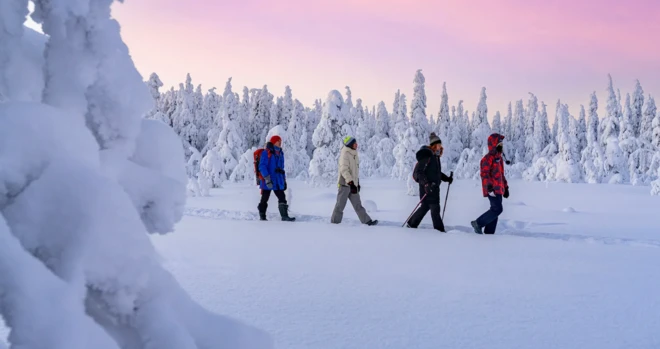 Grupa osób pieszo przemierza ośnieżony las. Mają na sobie ciepłe spodnie, kurtki i czapki, jedna z nich trzyma w rękach kije trekkingowe. W tle widać różowo-fioletowe niebo. 