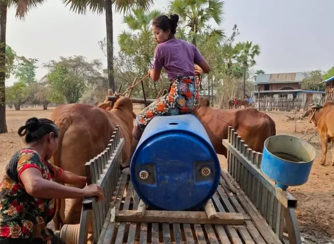 အညာမှာနွားလှည်းနဲ့ရေသယ် (ပုံဟောင်း)