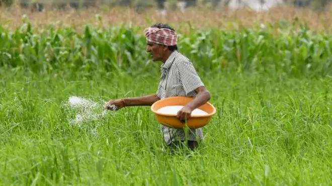 યુરિયા, નેનો યુરિયા, સુપર નેનો યુરિયા, નેનો યુરિયા પ્લસ કેટલા ઉપયોગી, ઇફ્કો દિલીપ સંઘાણી, મનસુખ માંડવિયા, બીબીસી ગુજરાતી, બીબીસી ન્યૂઝ ગુજરાતી