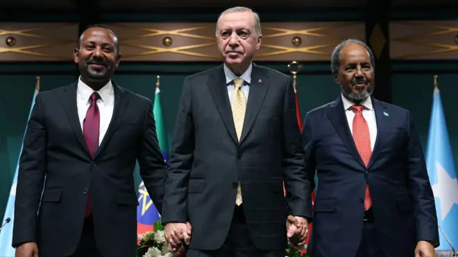 የኢትዮጵያው ጠቅላይ ሚኒስትር ዐቢይ አሕመድ እና የሶማሊያው ፕሬዚዳንት ሐሰን ሼክ ሞሐሙድ በቱርኩ ፕሬዚዳንት አሸማጋይነት ታኅሣሥ ላይ በአንካራ በተገናኙበት ወቅት