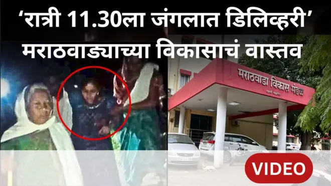 मराठवाड्याचा किती विकास झाला?