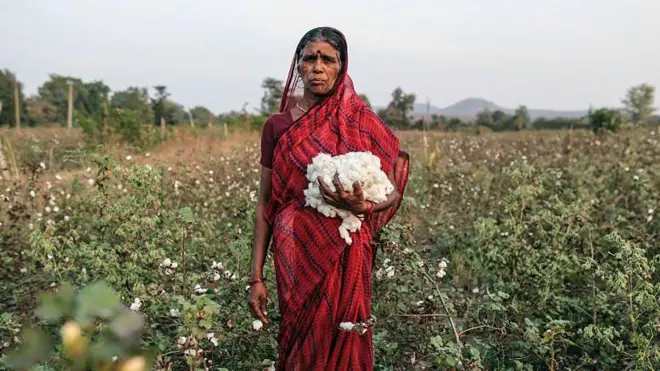 शेतकरी महिला प्रातिनिधिक फोटो