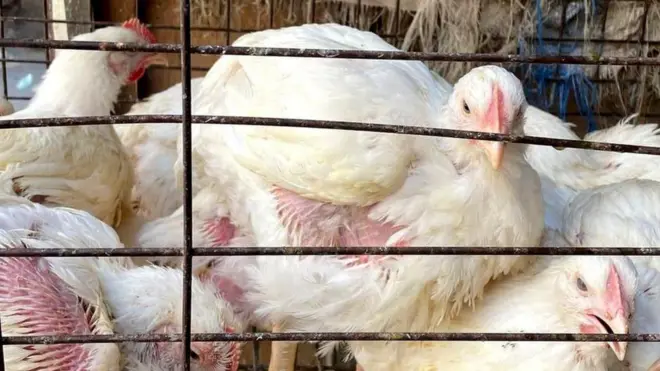 ఈజిప్ట్ ఆర్థిక సంక్షోభం