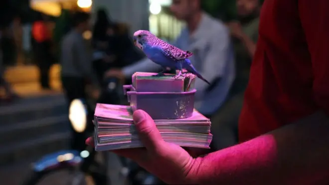 你可以在伊朗的任何地方讓吟遊詩人為你算命。