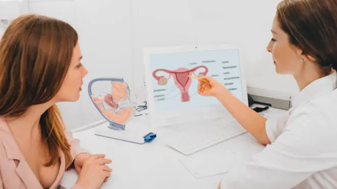 गर्भाशय