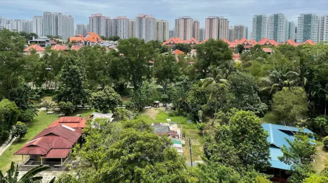 Nestled among Singapore's modern urban sprawl, Kampong Lorong Buangkok is the city-state's last rural village