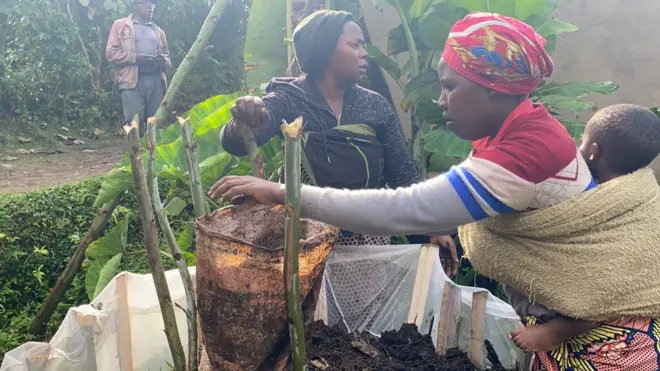 Aba bagore b'i Gataraga bamenye guhinga ku butaka buto bakahakura umusaruro mwinshi