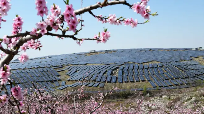 Investing in carbon capture technology slows down the transition to renewables, some environmentalists say