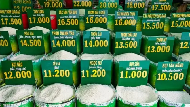 Vietnam rice