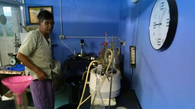 Ganja, marijuana, Thailand