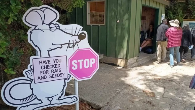 Rat sign for front of building