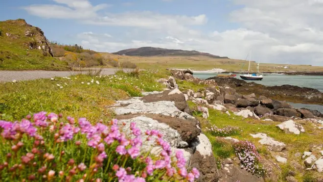 Flores e a paisagemcodigo aposta gratis betanoEigg