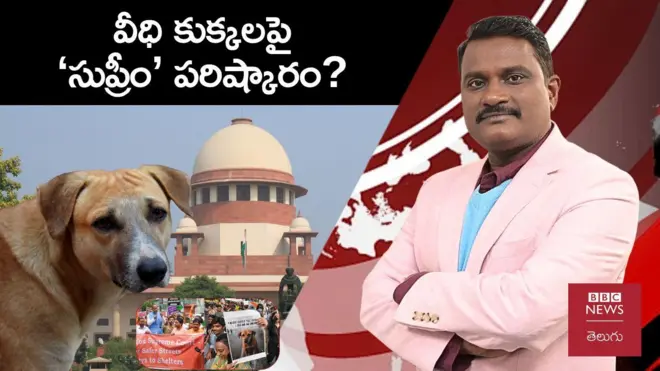 వీక్లీ షో