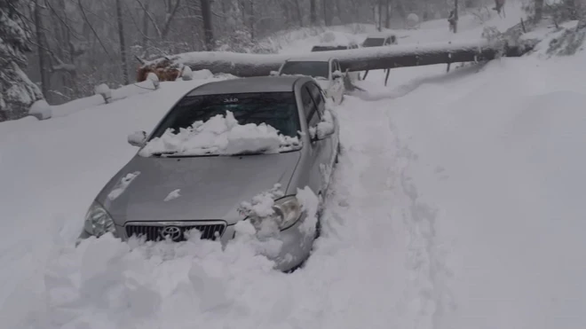 पाकिस्तान