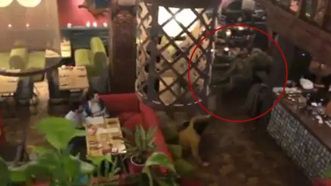 Задержание Михаила Саакашвили в одном из ресторанов Киева