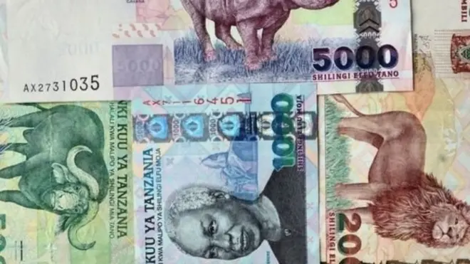 Serikali ya rais Magufuli imewekeza mabilioni ya madola katika sekta ya viwanda ambayo inashirikisha ujenzi wa reli mpya, kuimarisha shirika la ndege la taifa pamoja na kiwanda cha umeme.