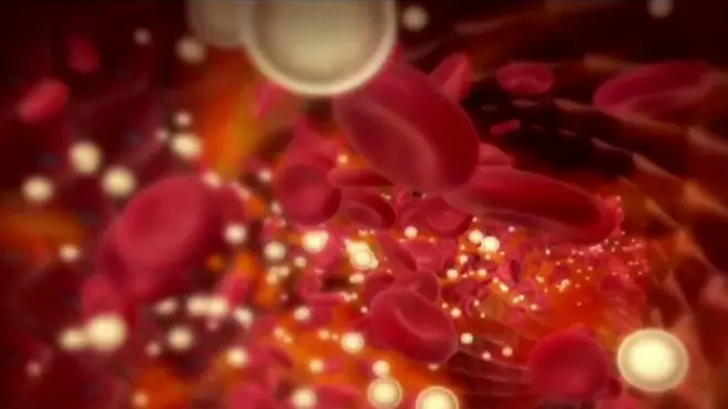 રક્તકણની પ્રતીકાત્મક તસવીર