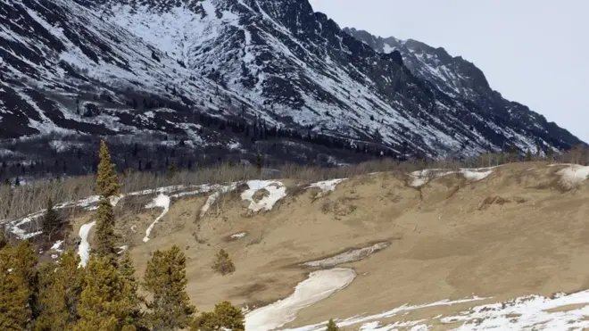 कनाडा का कारक्रॉस डेज़र्ट