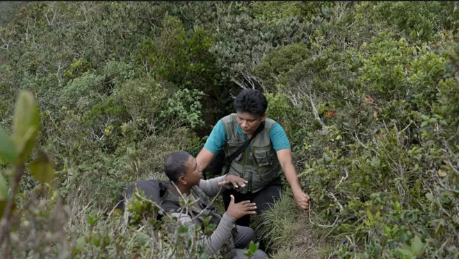 නකල්ස් කඳුකරයේ පිහිටි තුන්හිස්ගල කඳු මුදුනේ මිටි ගස් අතර BBC යේ ෂර්ලි උපුල් කුමාර සහ පර්යේෂක ප්‍රදීප් සමරවික්‍රම සිටී.