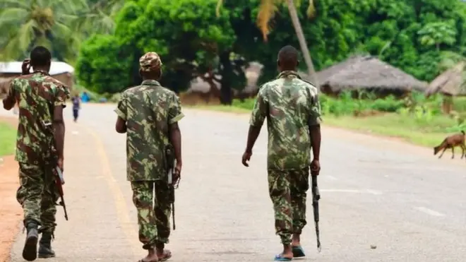 ప్రభుత్వ బలగాలు