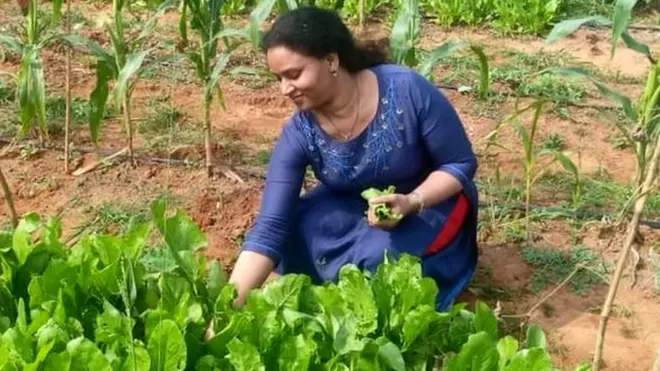 అర్బన్ ఎకో ఫార్మింగ్