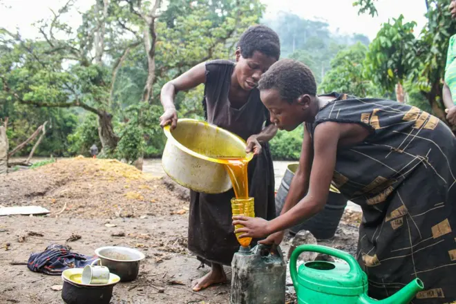 Cette huile est la plus utilisée dans le monde en cuisine, en agroalimentaire, en cosmétique