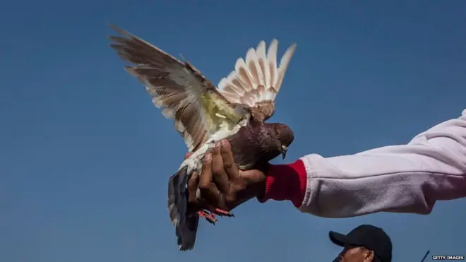 પ્રતિકાત્મક તસ્વીર