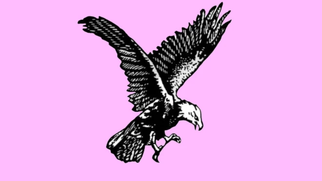 বাংলাদেশের নির্বাচনে ঈগল প্রতীক নিয়ে আলোচনা রয়েছে।