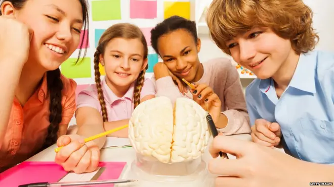 During the teenage years, there are important changes going on inside the brain