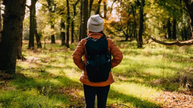 మిస్సింగ్ 