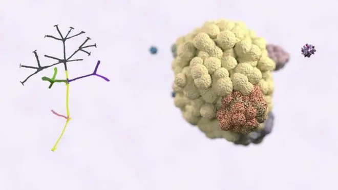 क्यान्सर