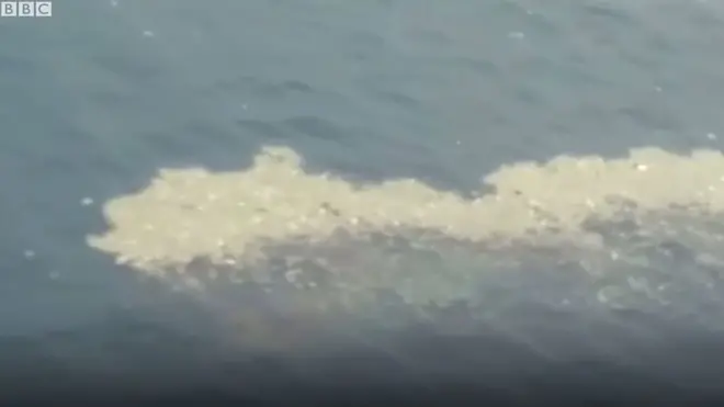 На борту лайнера перебували 189 людини.