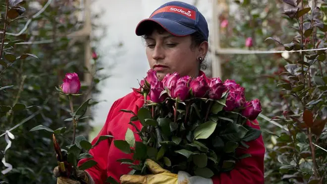 ਸੰਕੇਤਕ ਤਸਵੀਰ