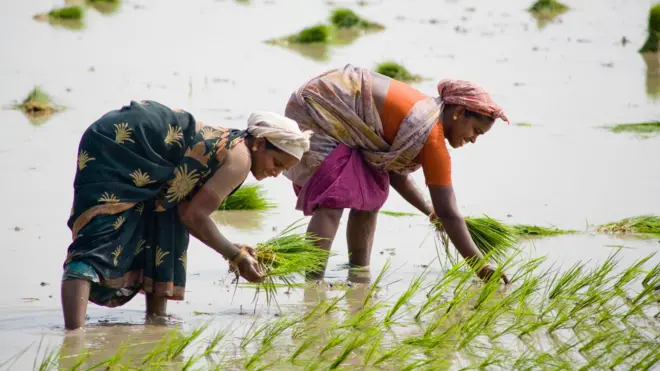 பயிர்க்கடன் தள்ளுபடி, முதலமைச்சர் விஜய், விவசாயிகள் 