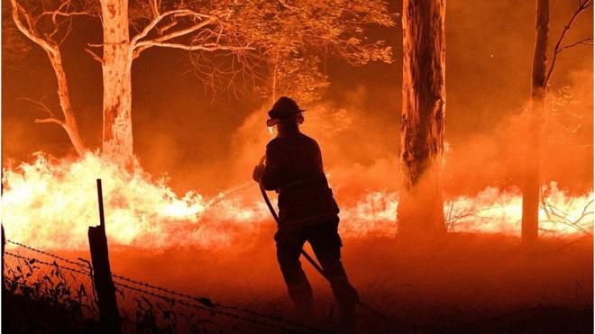 高温和数月的干旱加剧了森林大火，对澳大利亚部分地区造成严重破坏。