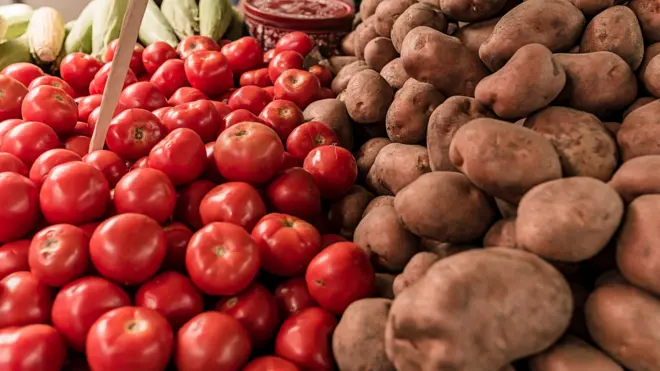 आलू और टमाटर देखने में एक-दूसरे से बिल्कुल अलग नज़र आते हैं, लेकिन वैज्ञानिकों का मानना है कि टमाटर के बिना आलू का अस्तित्व नहीं होता.