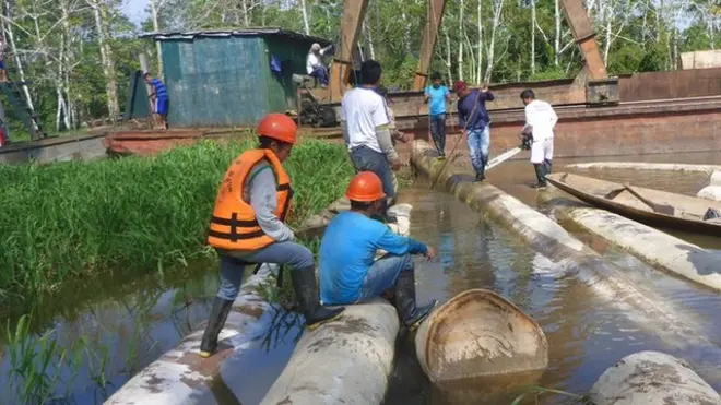 Un informe de Global Witness revela la escala de la tala ilegal en Perú.