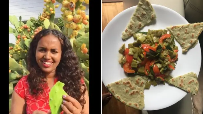 ህድኣት ትኩእ ካብ ሽላ በለስ ዝተፈላለየ ዓይነታት መግቢ ተዳሉ