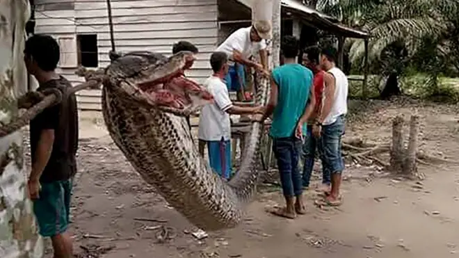 Birinchi marta jinsiy aloqada bolish Biseksual erni tahqirlash