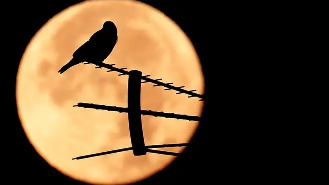 सुपरमून