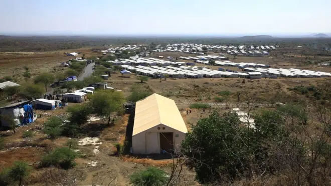 Buufata baqattoota Jaarraa