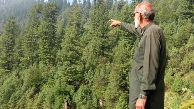 عارف کے مطابق 25 برس قبل یہ پہاڑ بنجر ہوتا تھا مگر اب سرسبز ہے