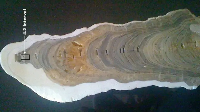 El mejor registro de la Edad Megalayense puede verse en capas de estalagmitas o depósitos de minerales en cuevas en Megalaya, un estado en el noreste de India.