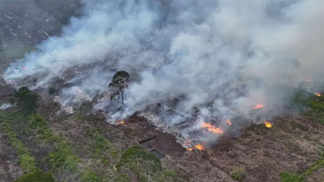 Foto udara kebakaran hutan dan lahan (karhutla) Aceh