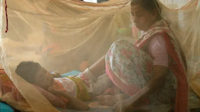 ডেঙ্গুতে আক্রান্ত হয়ে হাসপাতালে চিকিৎসা নিচ্ছেন অনেকেই