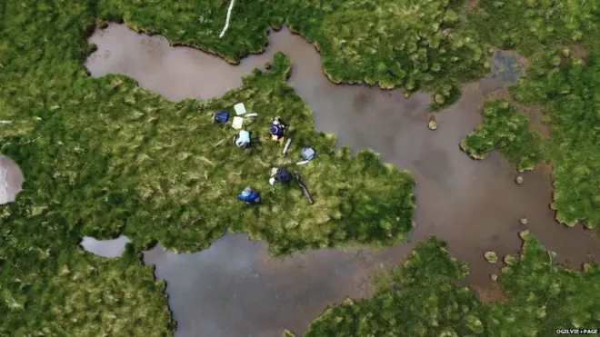 ناحیه حفاظت شده اسکین فلتس در اسکاتلند